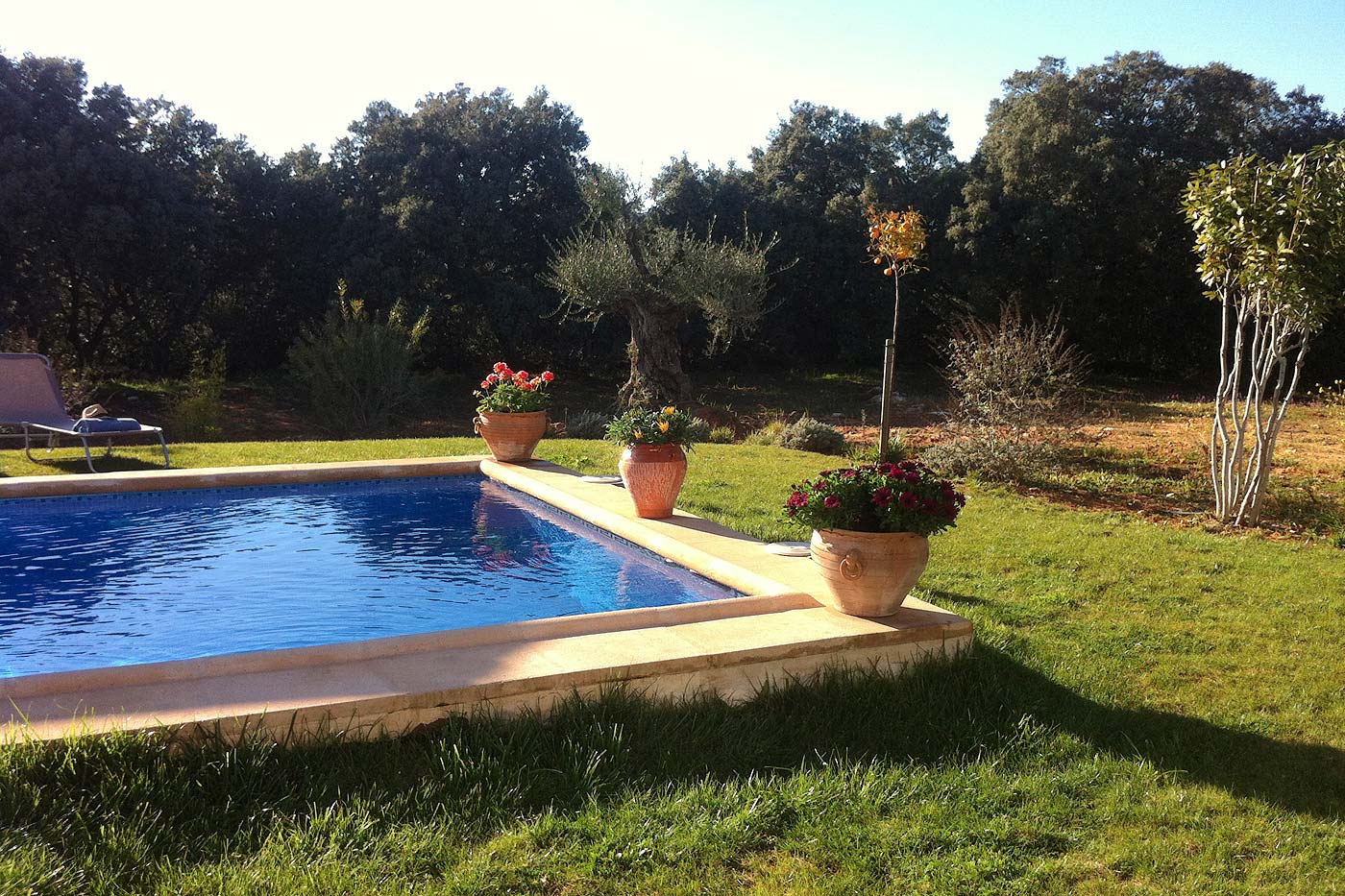 Private pool and lawned garden